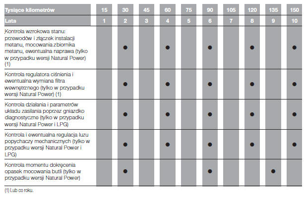 Wykaz czynności przeglądów okresowych (wersje benzynowe)