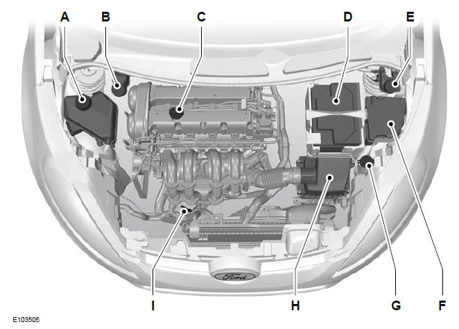 Widok ogólny komory silnika - 1,25 l Duratec-16V (Sigma) /1,4 l