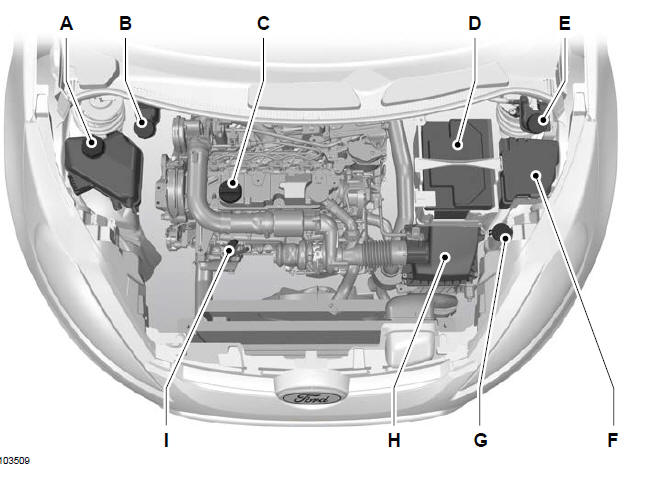 Widok ogólny komory silnika - 1,6 l Duratorq-TDCi (DV) Diesel