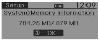 Memory Information